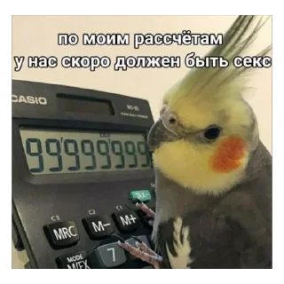 Sticker @stiki_tg_nah_canal - 7