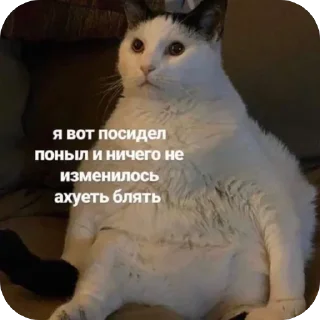 Sticker @stiki_tg_nah_canal - 5