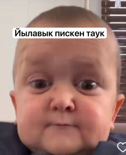 Стикер sdb9c0153d388527d9f71a14ecd4a1a53_by_sozdat_stikery_bot - 1