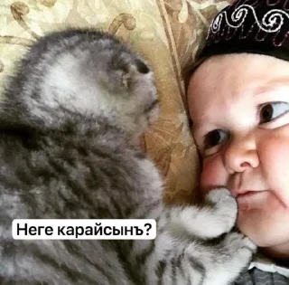 Sticker Ногайлар🆖🤌🏻 @sozdat_stikery_bot - 0