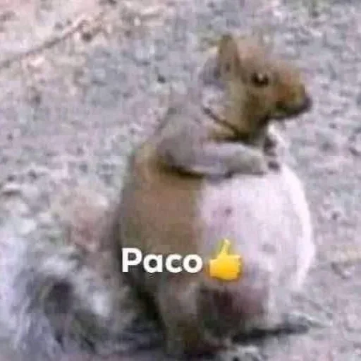 Sticker sdfshjdfjdshjfhsdf_by_e4zybot - 1