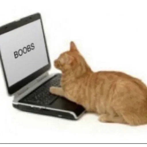 Sticker sdfshjdfjdshjfhsdf_by_e4zybot - 1