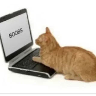 Sticker Жми → @stickfav - 9