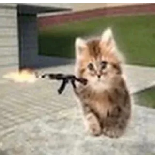 Sticker Жми → @stickfav - 3