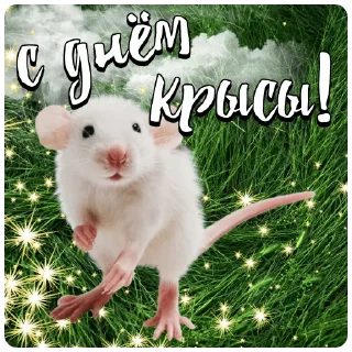 Стикер с днём дня | @careerwithh - 5