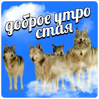 Стикер с днём дня | @careerwithh - 2