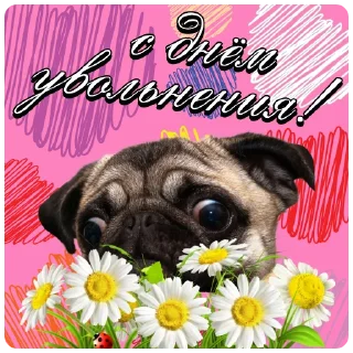 Стикер с днём дня | @careerwithh - 6