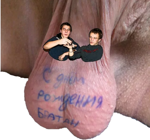 Стикер sdrugz - 1