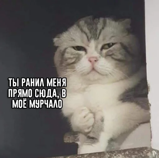 Стикер sdrugz - 1