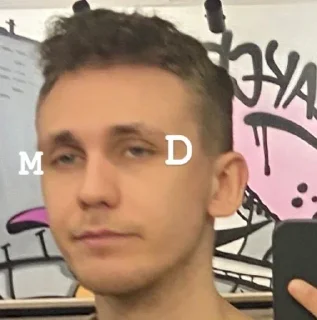 Стикер виталий селёдочкин или просто димон - 0