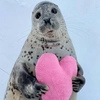 seals4life - 