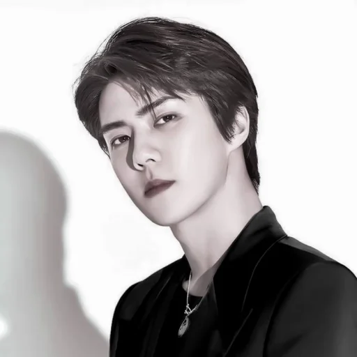 𖥻 sehun : 🃏 : @lumicore_present - Человек