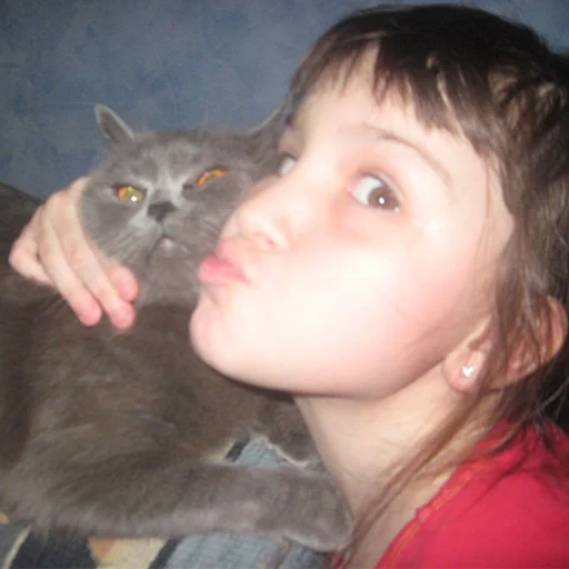 Стикер sekta52 - 1