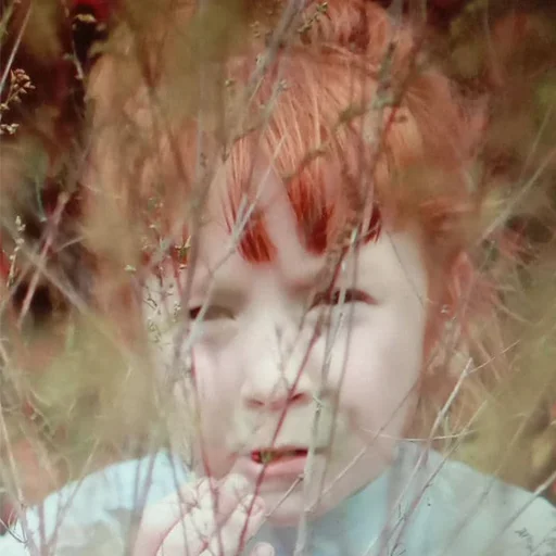 Стикер секта - 8