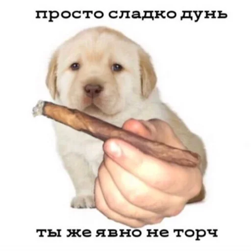 Стикер og autist - 9