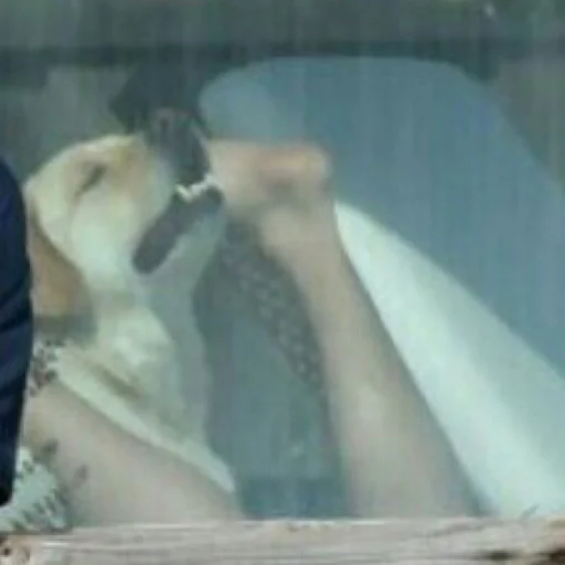 Стикер og autist - 6