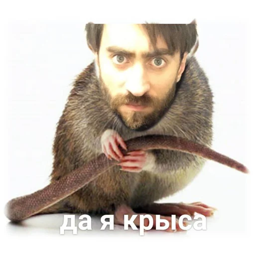 человеческая борода человеческое лицо мужчина