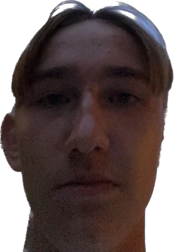 Sticker Pat04Chek icon - 10