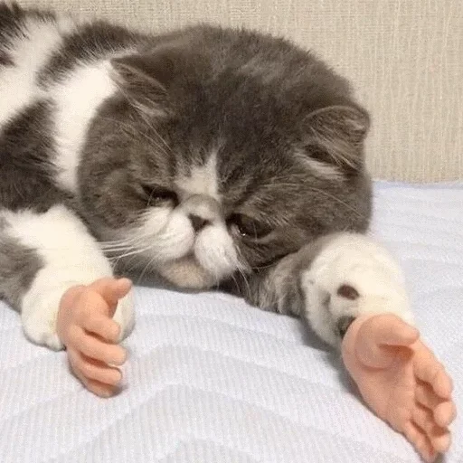 отправь меня нахуй by @fStikBot - 