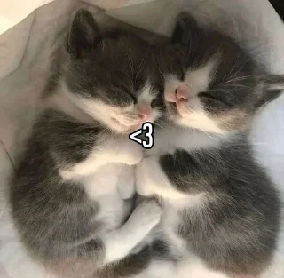 Стикер ˗ˏˋ  ✩ luv  uˎˊ˗˚‧₊*ੈ - 9