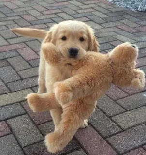 Стикер ˗ˏˋ  ✩ luv  uˎˊ˗˚‧₊*ੈ - 1