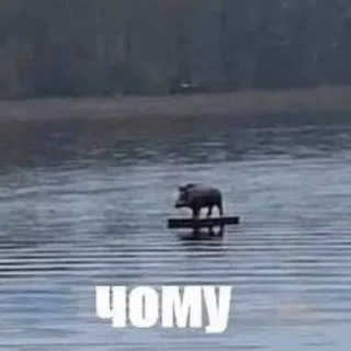 Sticker як сенс життя - 8