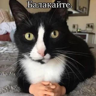 Sticker як сенс життя - 2