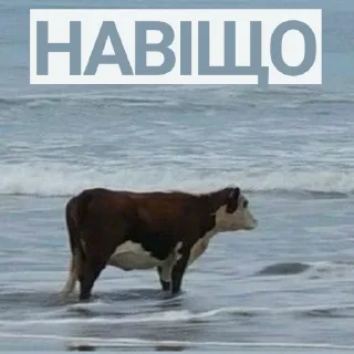 Sticker як сенс життя - 0