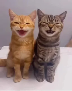 Стикер sentaiku - 3