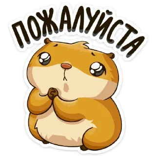 Sticker Сеня :: @stickroom - 2