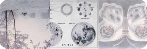 Sticker separatorsstrmilk_by_TgEmodziBot - 1