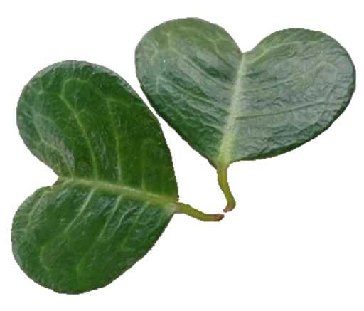 Стикер Heartz @cutethemes - 8