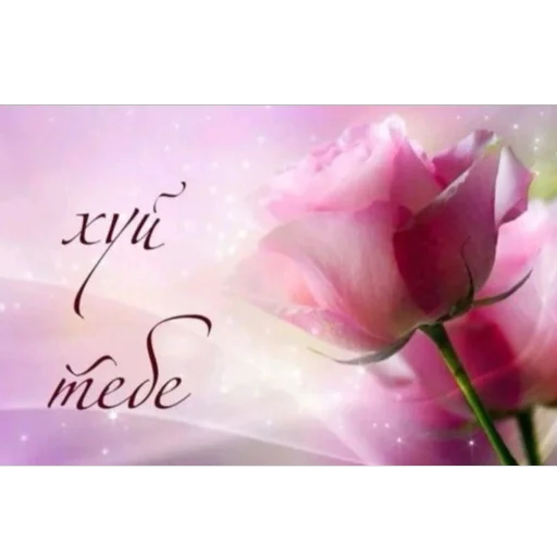 Стикер serdechurch - 1