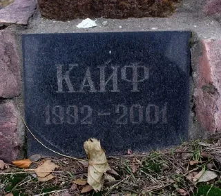 Стикер serdechurch - 10