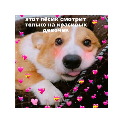 Sticker serdeshnooo - 1