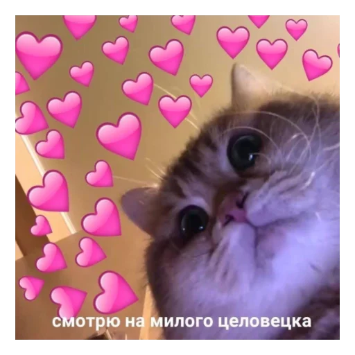 Sticker serdeshnooo - 1