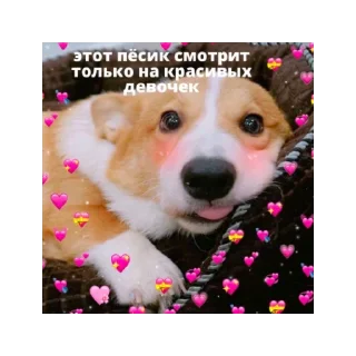 Sticker милые пикчи by nnichtojestvoo 😳 - 9