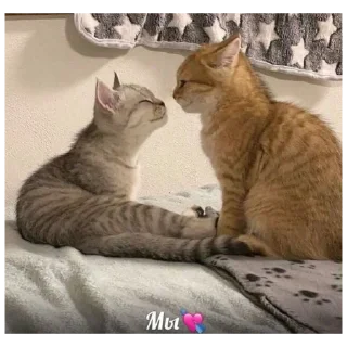 Sticker милые пикчи by nnichtojestvoo 😳 - 1