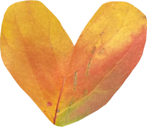 Sticker serduchki - 1