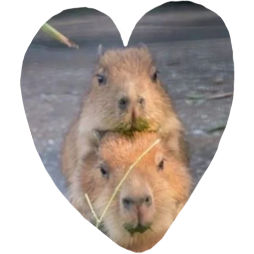 Sticker serduchki - 1