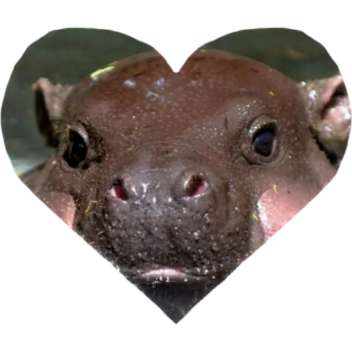 Sticker serduchki - 1