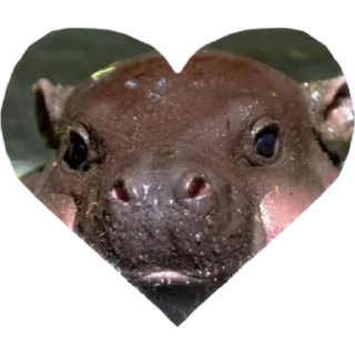 Sticker heart’s by pussjc - 0