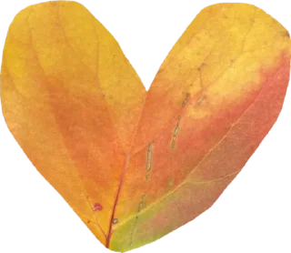 Sticker heart’s by pussjc - 10