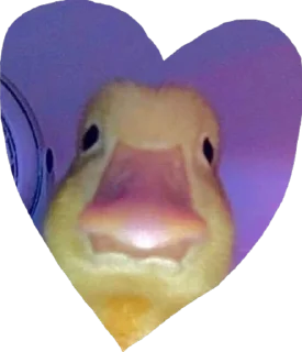 Sticker heart’s by pussjc - 8