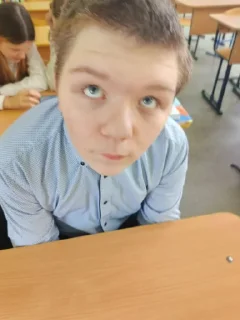 Sticker сереша - 0