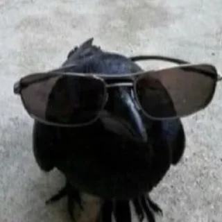 Стикер Сережа:3 - 1