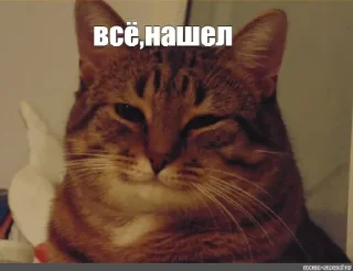 Стикер (^ ◕ᴥ◕ ^) - 2