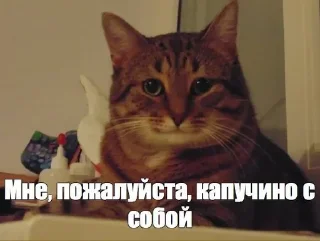 Стикер (^ ◕ᴥ◕ ^) - 0