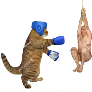 Sticker Favorite Stickers - 7