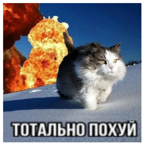 Больше стиков тут: @stikery4 - 